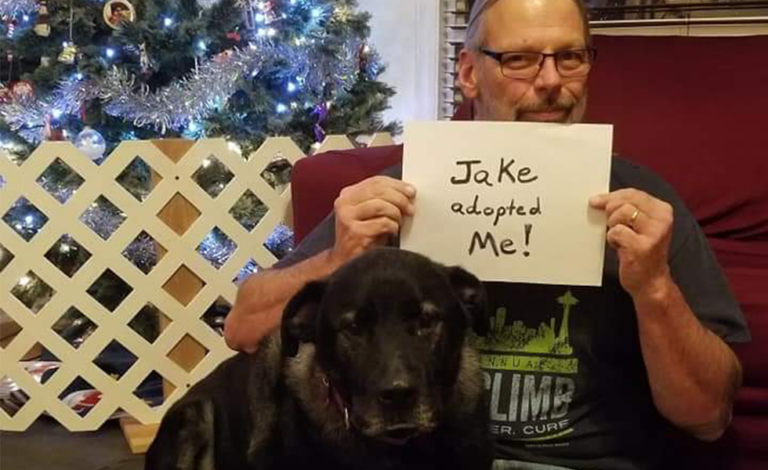 volunteer spotlight: tom lemaitre 1