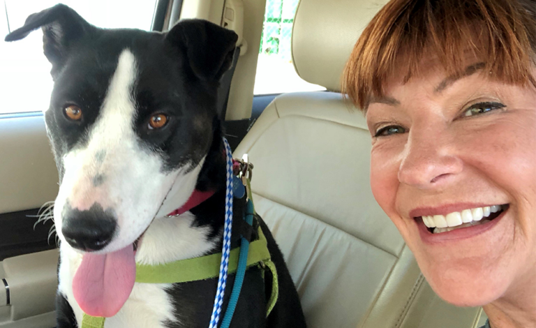 volunteer spotlight: jan schwenger 3