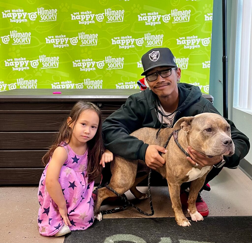 fifi adoption