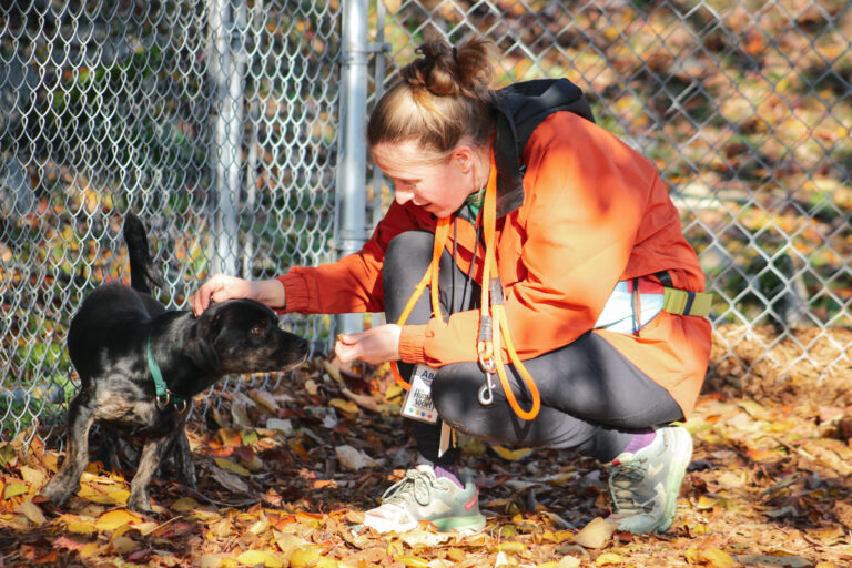 Celebrating Volunteers During Volunteer Appreciation Week