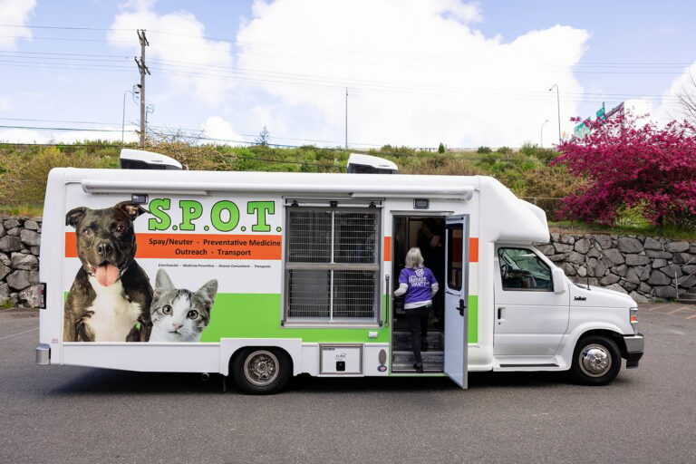 SPOT's exterior