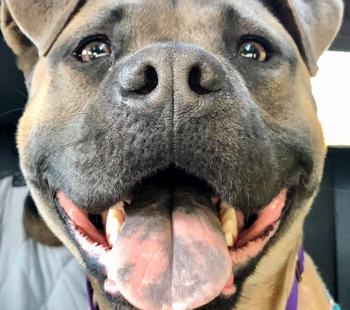 meet autumn