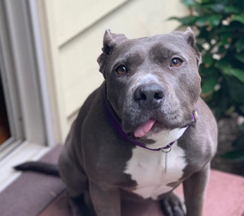 meet the belle of the ball!