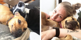 Justice for 107 Dogs 10