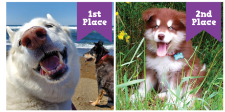 First place winner, Jazzy and Chai, and second place winner, Loki. 
