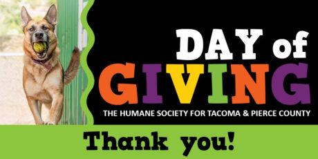 Day of Giving 1