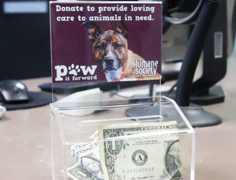More Ways to Give 6