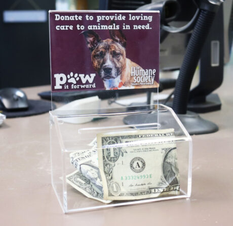 Host a Donation Box 1