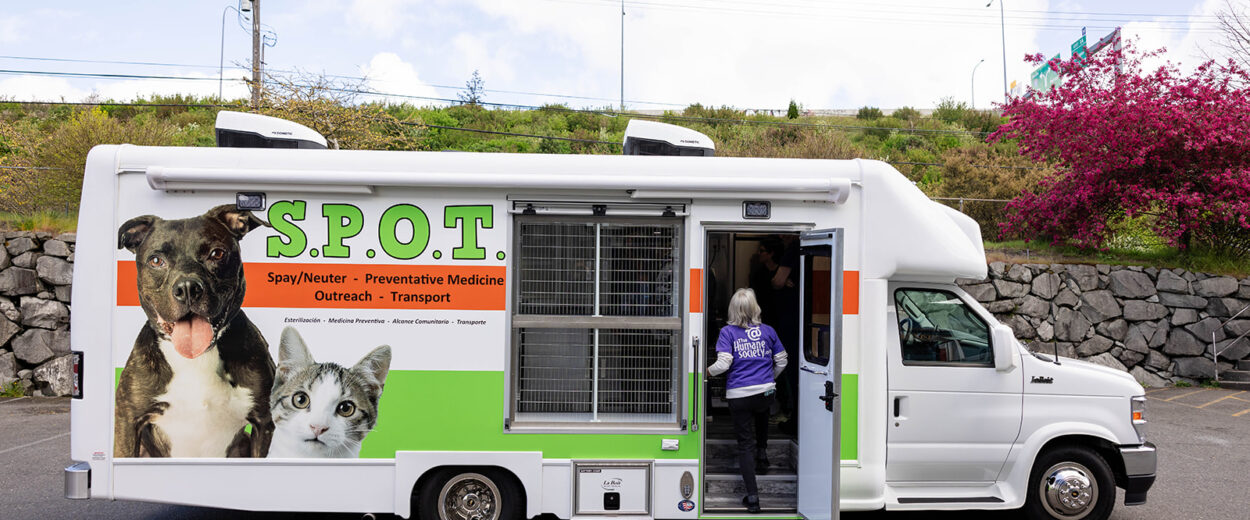 SPOT's exterior