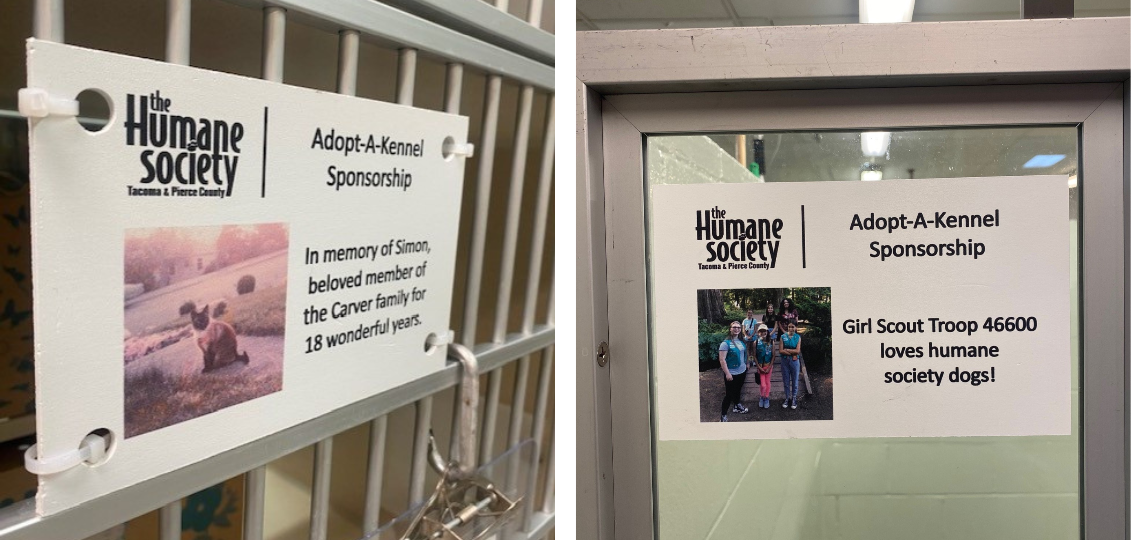 Adopt-A-Kennel 8