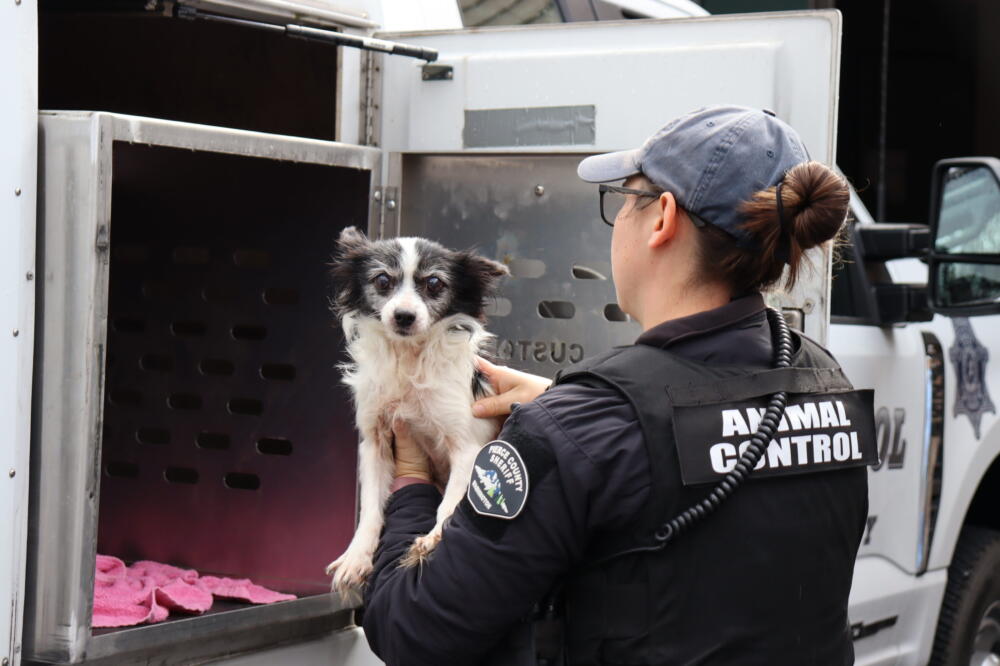 Animal Control Celebrating Our Animal Control Partners - The Humane Society for Tacoma ...