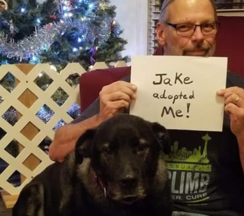 volunteer spotlight: tom lemaitre 1