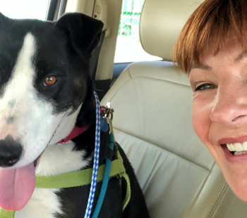 volunteer spotlight: jan schwenger 3