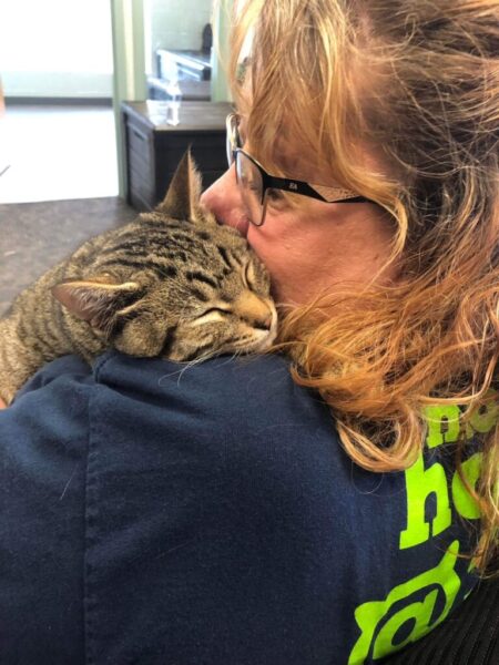volunteer spotlight: lynn williams 1