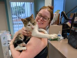 Adopter holding a white and brown tabby cat they've just adopted.