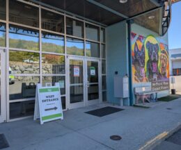 An image of the shelter Adoption Lobby entrance with signage directing to other entrances during construction.