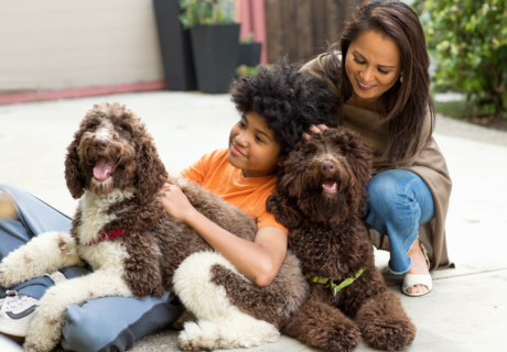 Family with their dogs. 