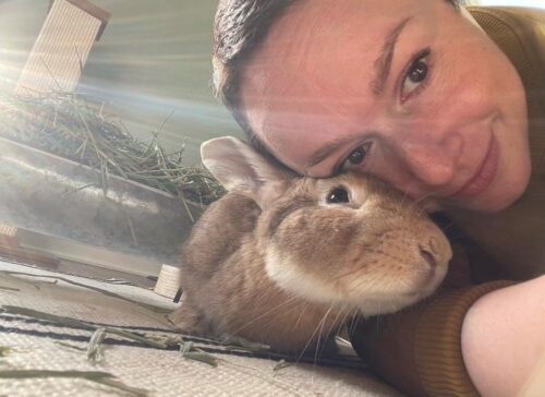 246 Rabbits 5