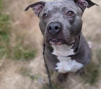 meet tupac