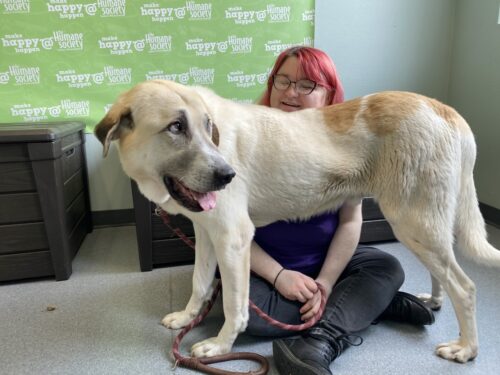 Whitney Mason with a shelter dog.