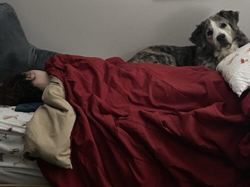 Foster Spotlight: Heather Bennett 1