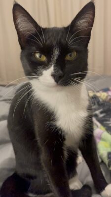 Foster Spotlight: Heather Bennett 2