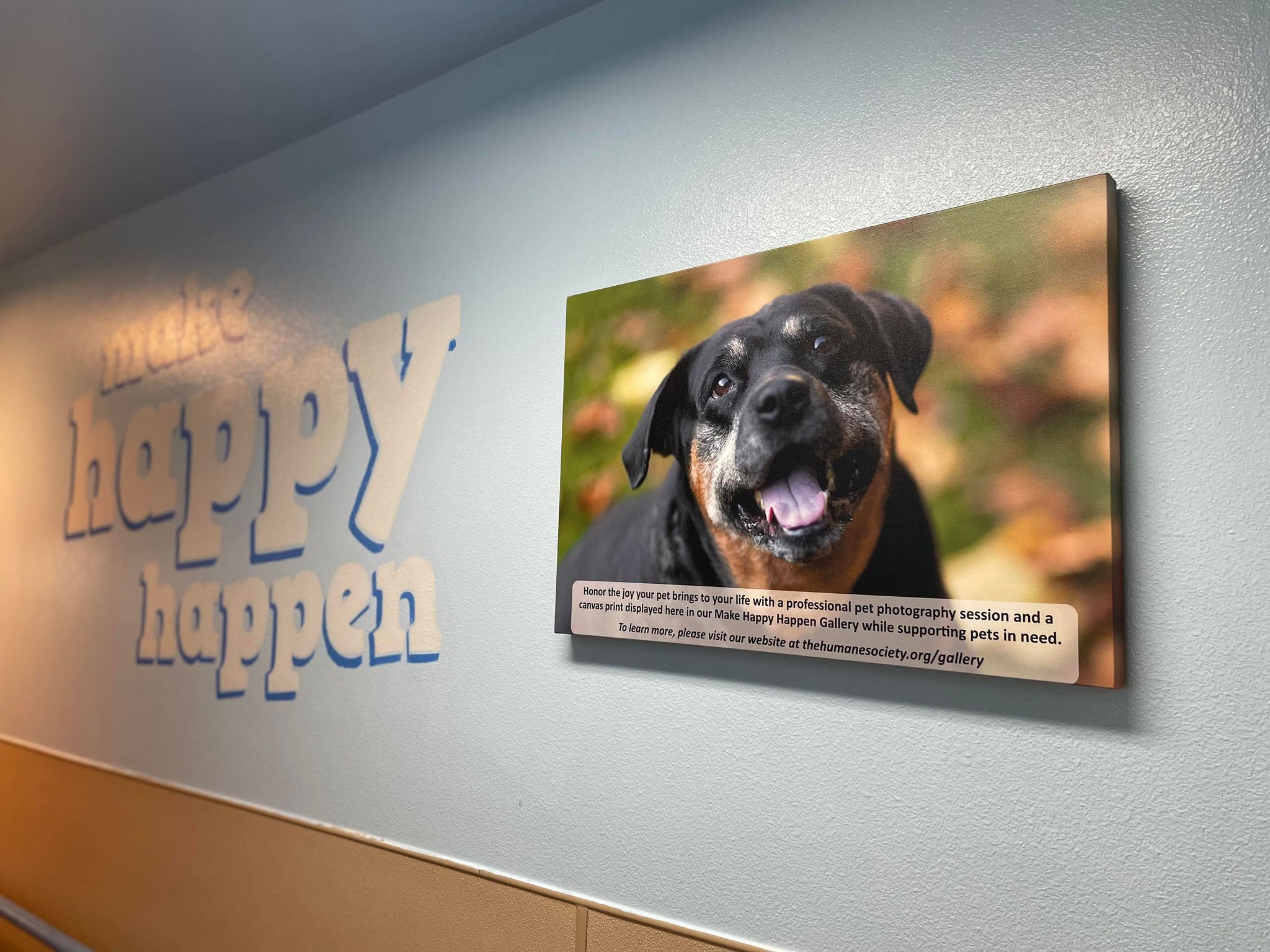 Make Happy Happen Gallery 2